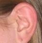 Ear