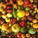 Fruit